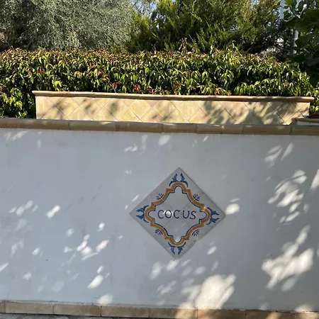 Oda ve Kahvaltı Cocus 3*